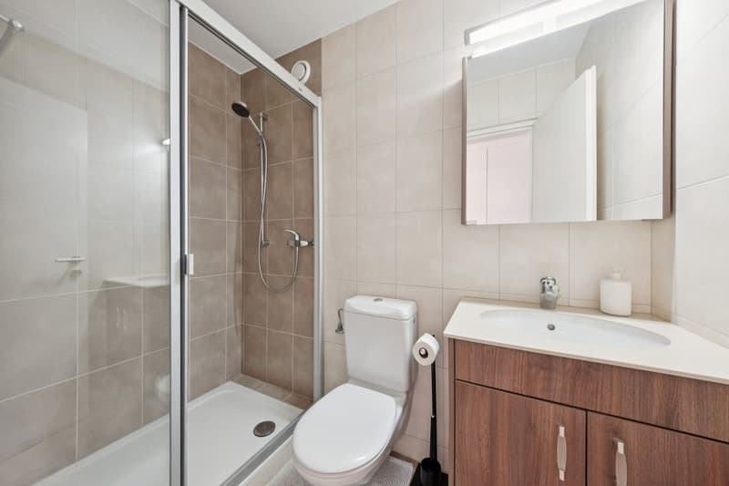 Appartement de 4,5 pièces entièrement rénové (10)