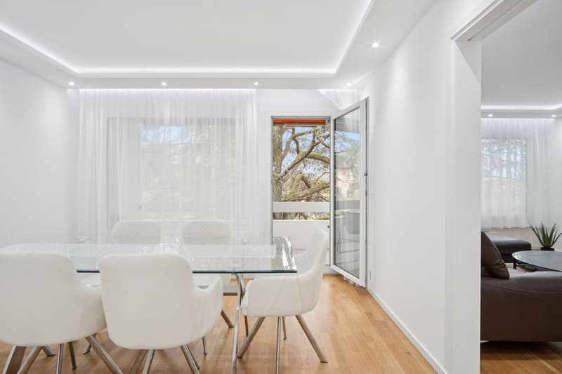 Appartement de 4,5 pièces entièrement rénové (5)