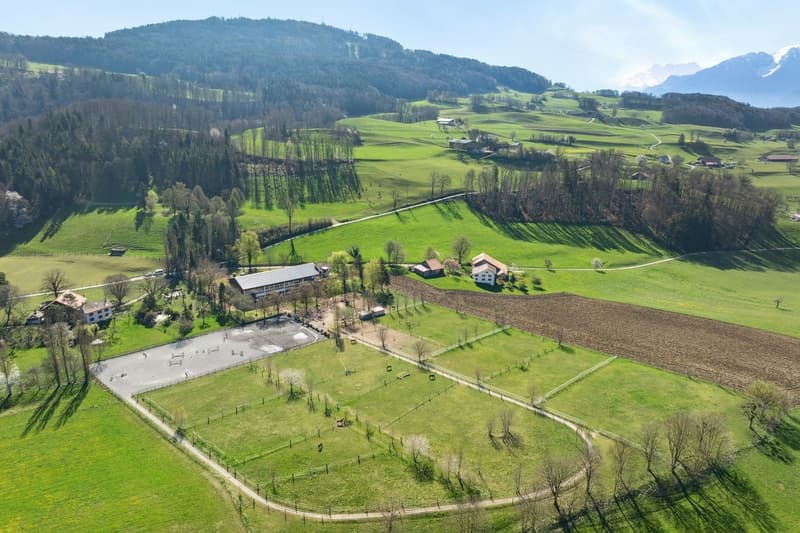 Exclusivité SOTHEBY'S Centre Equestre avec rendement (1)