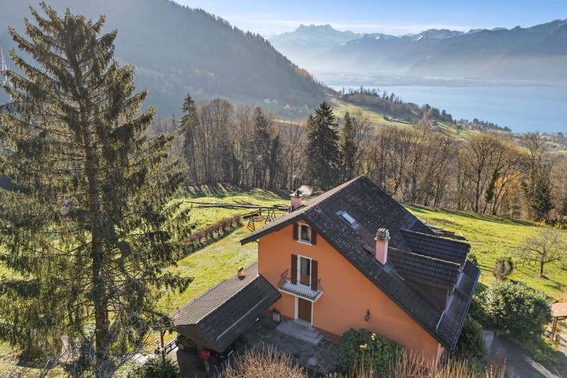 Superbe maison individuelle offrant une magnifique vue sur le lac (1)