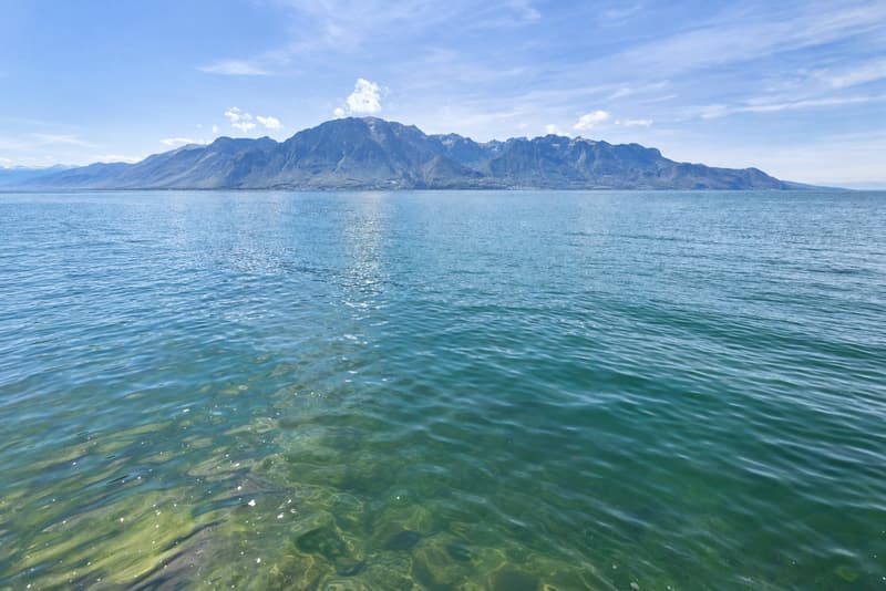 Adresse d'exception - Première ligne du lac - Demeure entièrement réno (1)