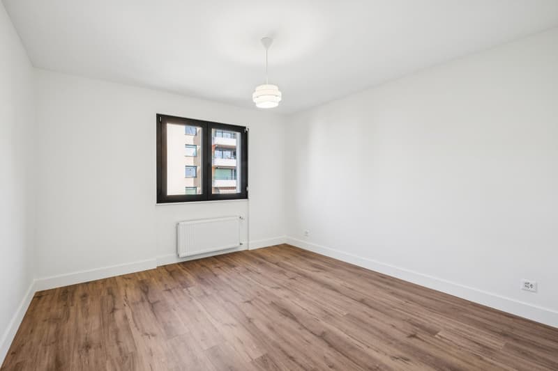 Appartement 3,5 pièces entièrement rénové - Un havre de paix avec vue (8)