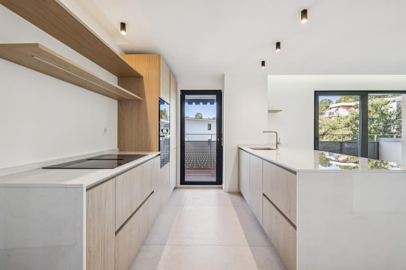Appartement 3,5 pièces entièrement rénové - Un havre de paix avec vue (4)