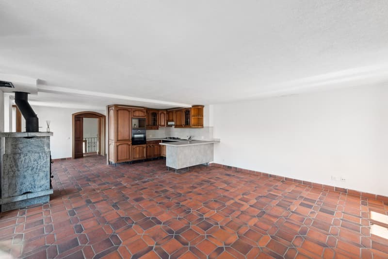 Maison de 3 appartements, aux généreux volumes et vue imprenable sur l (9)