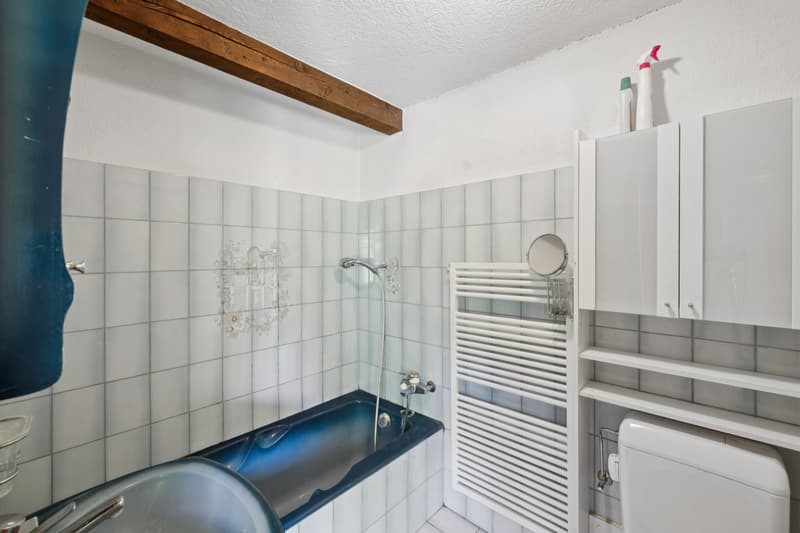 Maison de 3 appartements, aux généreux volumes et vue imprenable sur l (12)