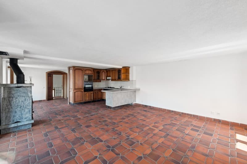 Maison de 3 appartements, aux généreux volumes et vue imprenable sur l (9)
