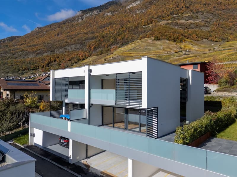 Villa neuve, spacieuse et luxueuse (1)
