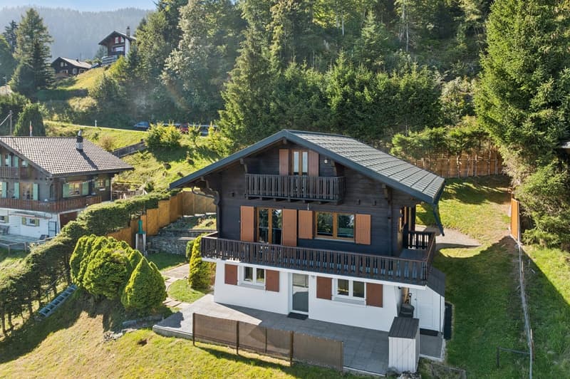 Chalet entièrement rénové aux Giettes (1)