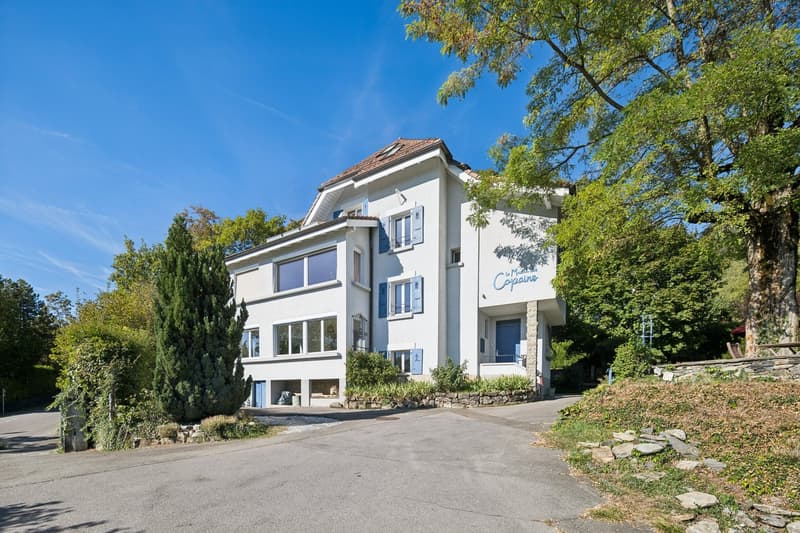 Propriété de 12.5 pièces au coeur de Blonay avec vue sur le lac (1)
