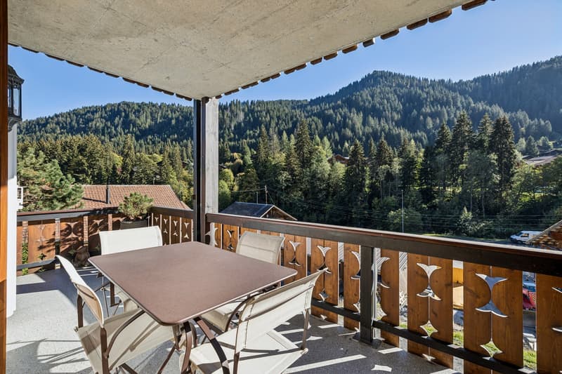 Charmant appartement au coeur de Morgins - Portes du Soleil (13)
