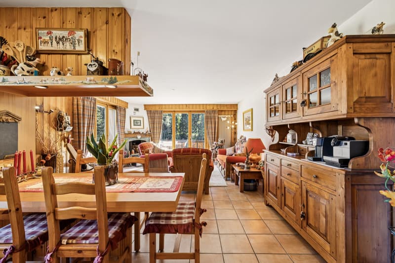 Charmant appartement au coeur de Morgins - Portes du Soleil (4)