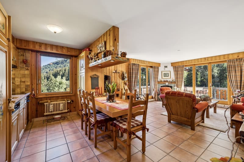 Charmant appartement au coeur de Morgins - Portes du Soleil (5)