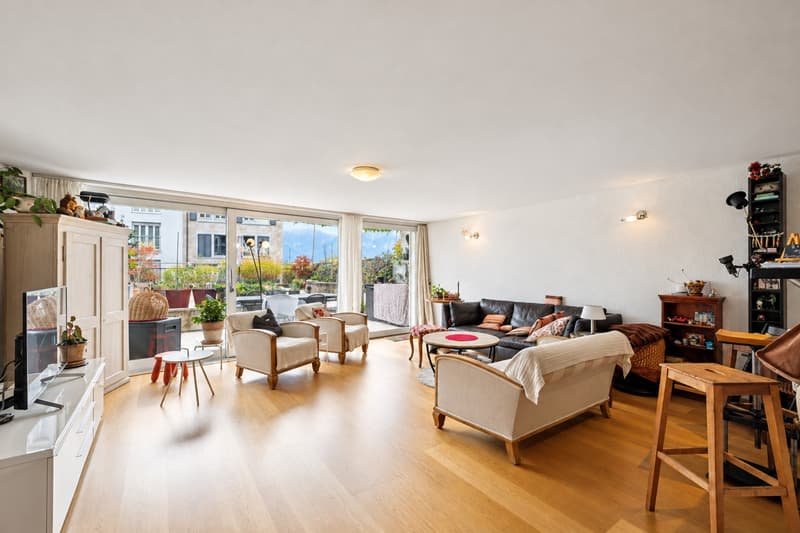 Superbe duplex de 5,5 pièces avec terrasse à deux pas du lac (3)