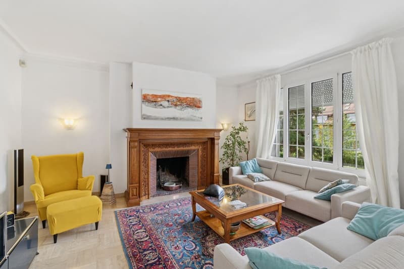 Superbe appartement avec grand jardin - Très jolie vue sur le lac (4)