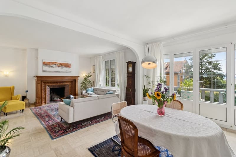 Superbe appartement avec grand jardin - Très jolie vue sur le lac (3)