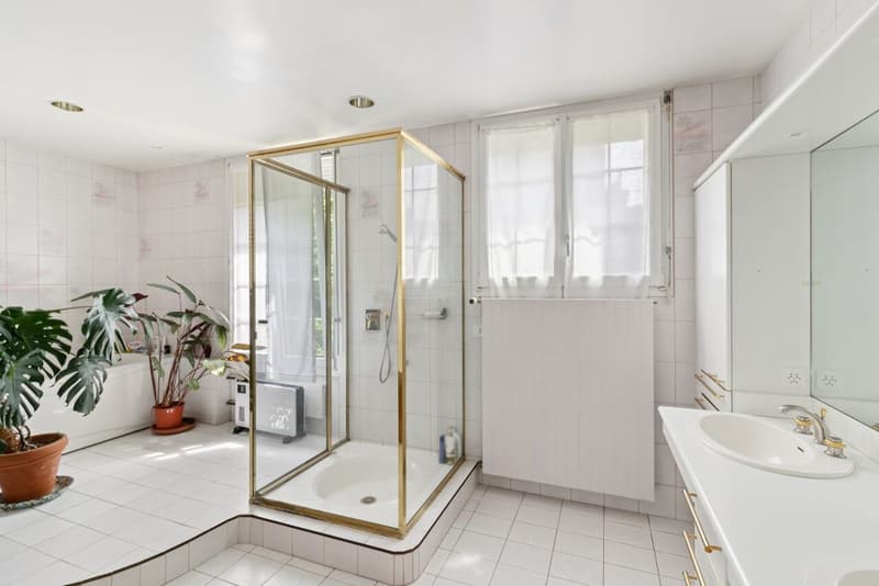 Superbe appartement avec grand jardin - Très jolie vue sur le lac (6)
