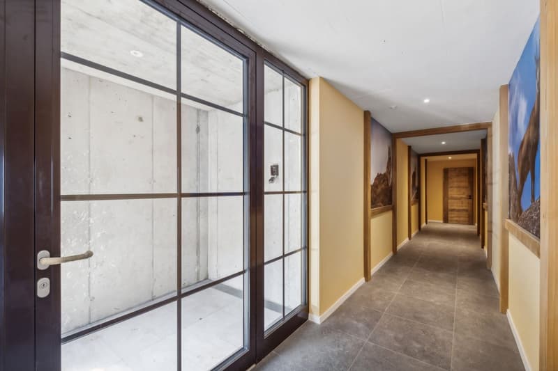 Bel duplex nuovo di alta qualità (4)