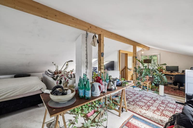 Casa indipendente vicino a Sion - Grande terreno e grande potenziale (10)