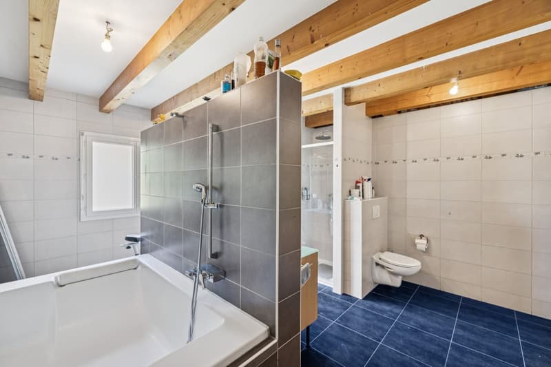 Casa indipendente vicino a Sion - Grande terreno e grande potenziale (7)