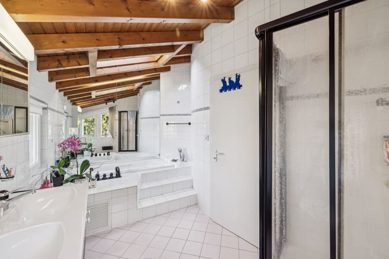 Individual villa with pool and independent studio (10)