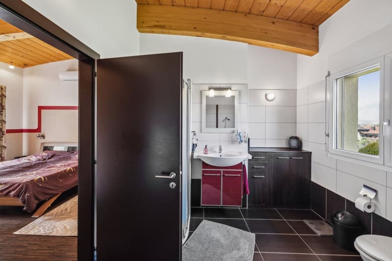 Villa contemporaine avec annexe à Collombey-Muraz (7)