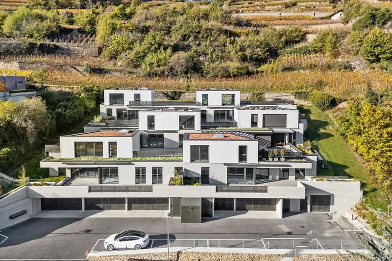 Les Terrasses de Gravelone - Luxury Duplex in the Heart of the Vineyards (4)