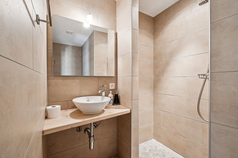 Duplex moderne et chaleureux à 5 minutes de Grimentz (8)