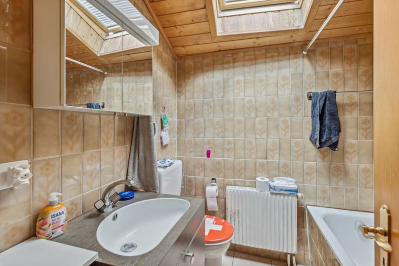 Rental chalet with 3 apartments - 5.6% gross yield (12)