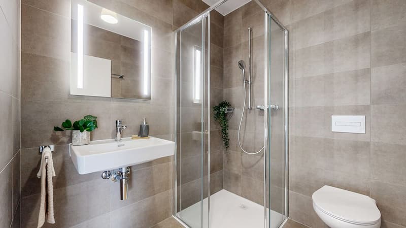 Magnificent luxury apartment with terrace - Lot 31 (8)