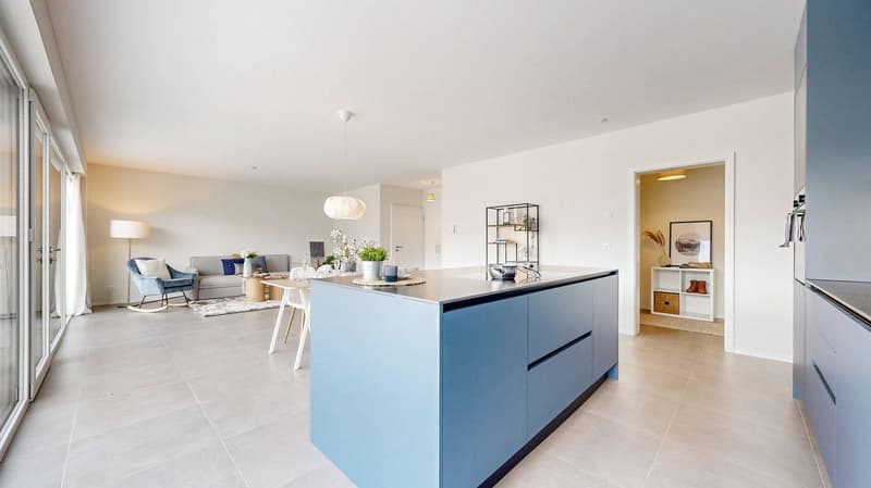 Magnificent luxury apartment with terrace - Lot 31 (6)