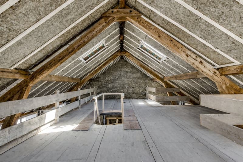 Opportunity! Barn combining the charm of the old with modernity! (6)