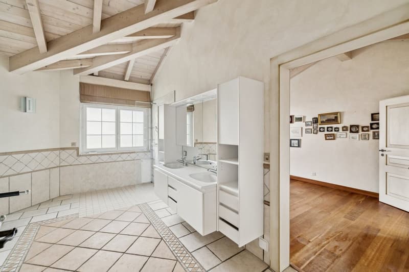 Charmante provenzalische Villa (11)