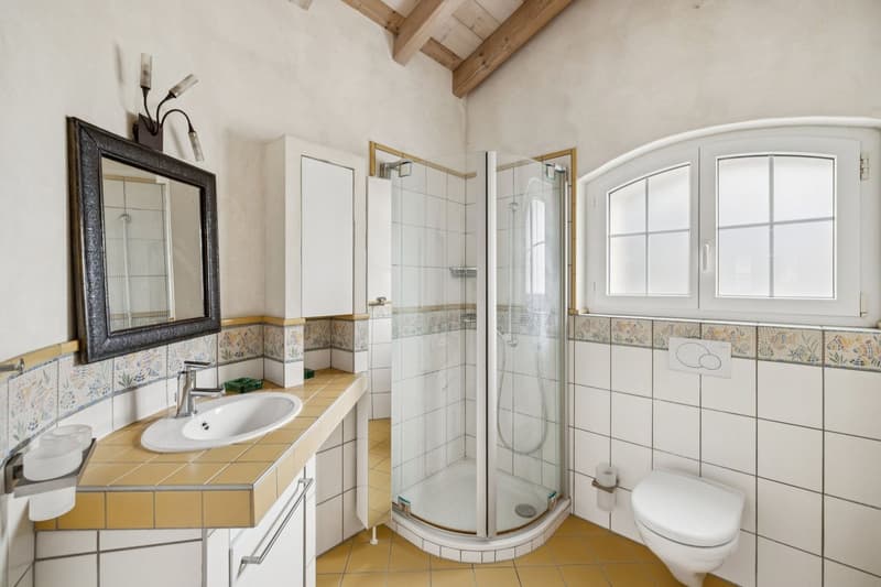 Charmante provenzalische Villa (12)