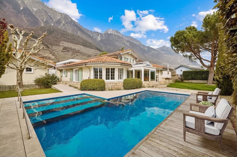 Charming Provençal Villa (1)