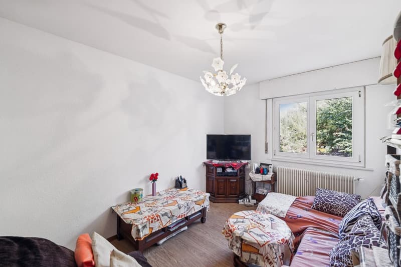 Villa individuelle 6.5 pièces à rafraîchir, beau potentiel ! (5)