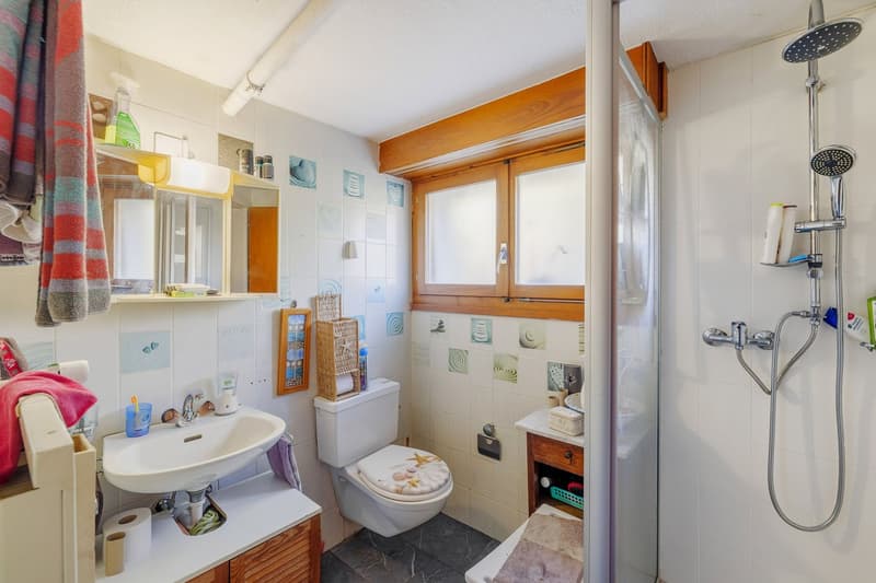 Individual villa with 6.5 rooms to refresh, beautiful potential! (6)