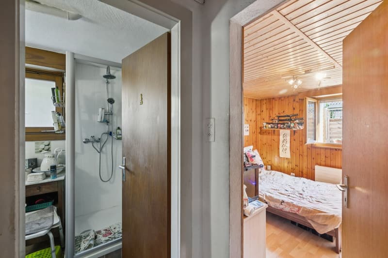 Individual villa with 6.5 rooms to refresh, beautiful potential! (7)