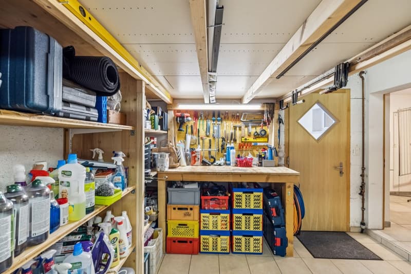 Villa individuelle de 6,5 pièces à Fully (12)