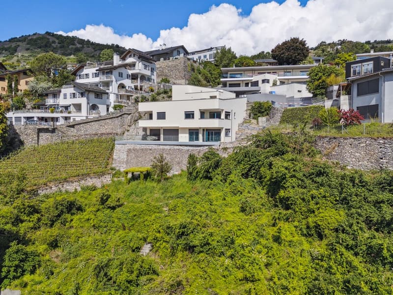 Gravelone - Magnificent 3.5-room apartment with superb view (4)