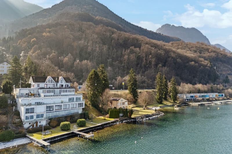 Haven of peace by the lake - 3.5 room apartment with terrace (9)