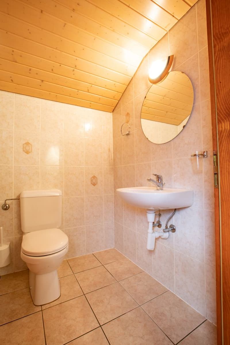 In the heart of the village, comprising a business, laboratory and apartment (11)