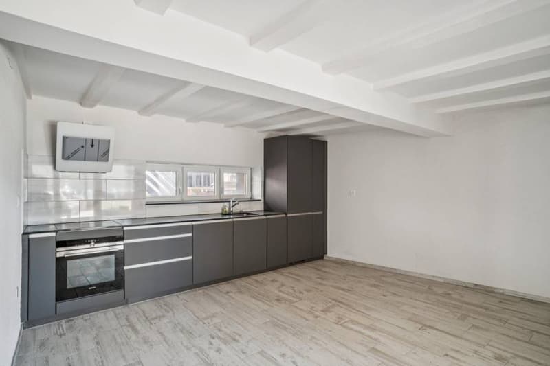 Duplex of 4.5 rooms with character in small PPE (5)