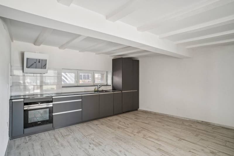 Duplex of 4.5 rooms with character in small PPE (3)