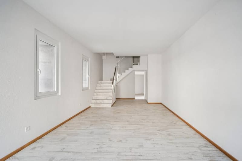 Duplex of 4.5 rooms with character in small PPE (2)
