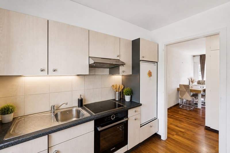 Apartment 3.5 rooms (1)