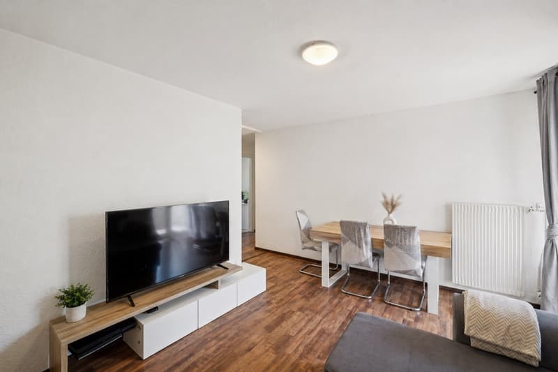 Apartment 3.5 rooms (3)