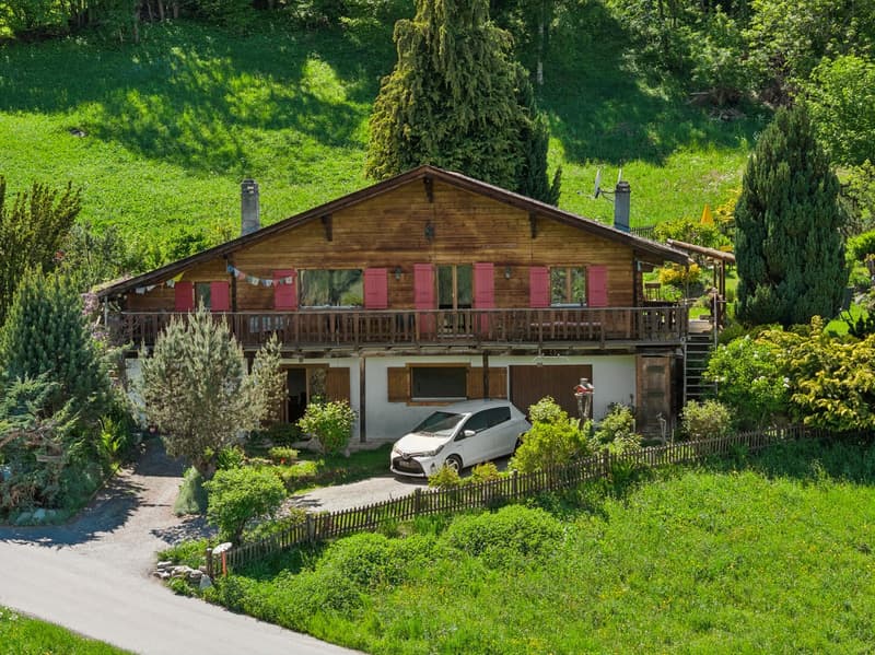 Chalet avec appartement indépendant, au coeur de la nature sauvage (1)