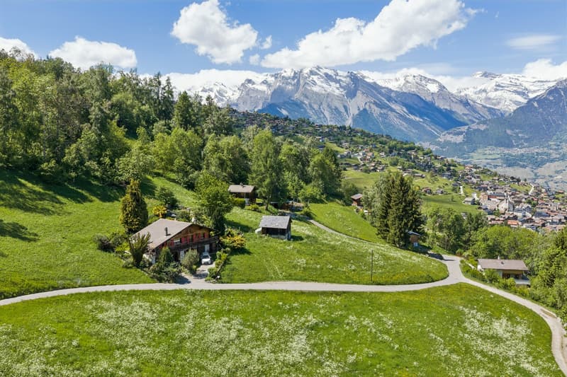 Chalet avec appartement indépendant, au coeur de la nature sauvage (4)