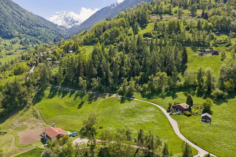 Chalet avec appartement indépendant, au coeur de la nature sauvage (3)