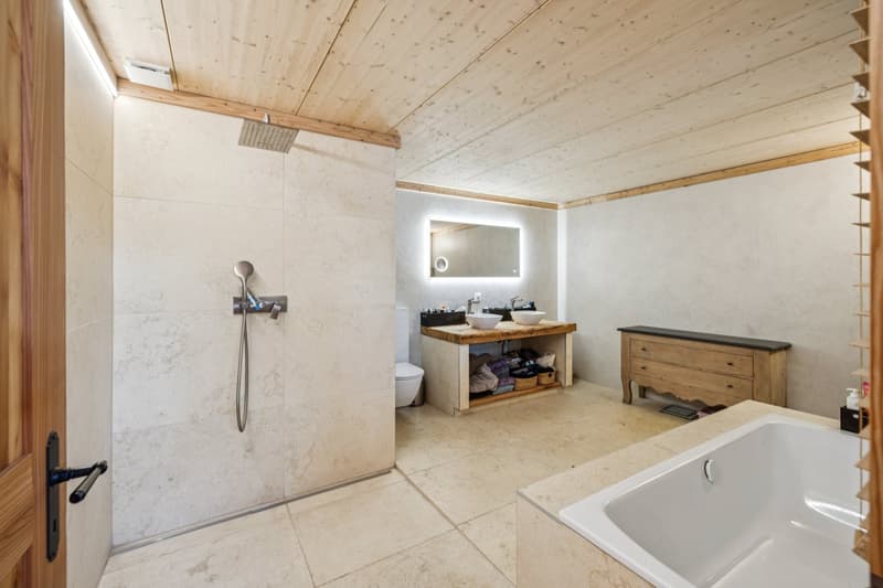 Chalet with 2 apartments of authentic charm (13)